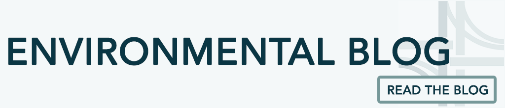 BSW Environmental Blog